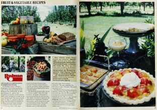 Better Homes & Gardens August 1982 Magazine Article: Page 80