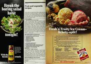 Better Homes & Gardens August 1982 Magazine Article: Page 102