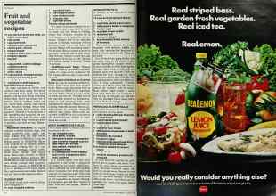 Better Homes & Gardens August 1982 Magazine Article: Page 106