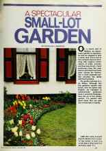 Better Homes & Gardens September 1982 Magazine Article: A SPECTACULAR SMALL-LOT GARDEN