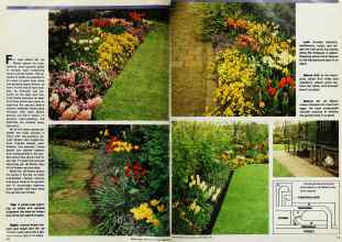 Better Homes & Gardens September 1982 Magazine Article: Page 40