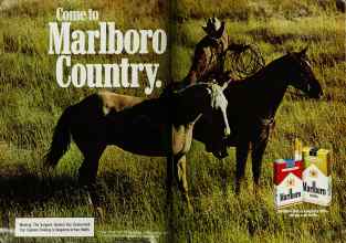 Better Homes & Gardens September 1982 Magazine Article: Page 86