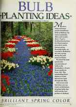 Better Homes & Gardens October 1982 Magazine Article: BULB PLANTING IDEAS BRILLIANT SPRING COLOR