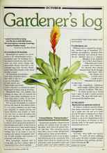 Better Homes & Gardens October 1982 Magazine Article: Gardener's log