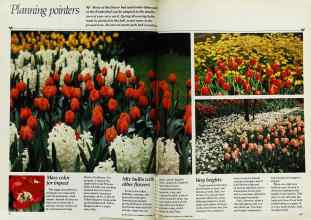 Better Homes & Gardens October 1982 Magazine Article: Page 46