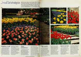 Better Homes & Gardens October 1982 Magazine Article: Page 48
