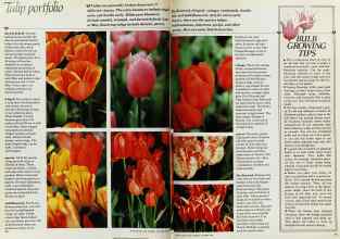 Better Homes & Gardens October 1982 Magazine Article: Page 50