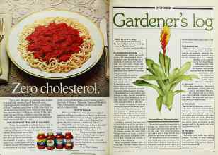 Better Homes & Gardens October 1982 Magazine Article: Page 66