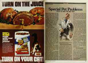 Better Homes & Gardens October 1982 Magazine Article: Page 88