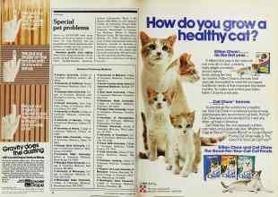 Better Homes & Gardens October 1982 Magazine Article: Page 94
