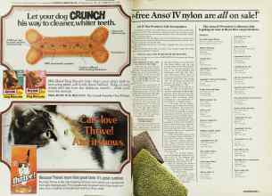 Better Homes & Gardens October 1982 Magazine Article: Page 108