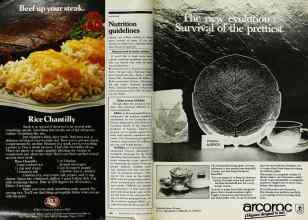 Better Homes & Gardens October 1982 Magazine Article: Page 148