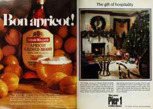 Better Homes & Gardens December 1982 Magazine Article: Page 10