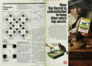 Better Homes & Gardens December 1982 Magazine Article: Page 80