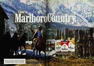 Better Homes & Gardens December 1982 Magazine Article: Page 92