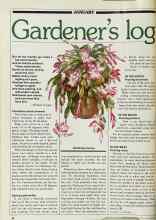 Better Homes & Gardens January 1983 Magazine Article: Gardener's log