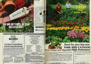 Better Homes & Gardens January 1983 Magazine Article: Page 24