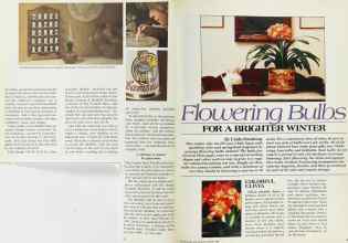 Better Homes & Gardens January 1983 Magazine Article: Page 40