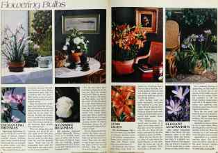 Better Homes & Gardens January 1983 Magazine Article: Page 42