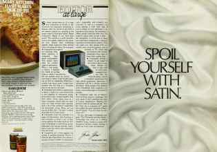 Better Homes & Gardens March 1983 Magazine Article: Page 4