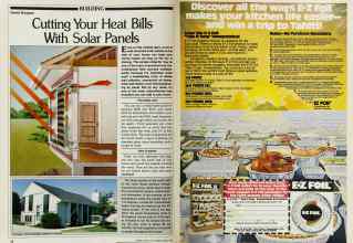 Better Homes & Gardens March 1983 Magazine Article: Page 20