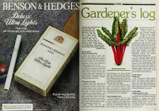 Better Homes & Gardens April 1983 Magazine Article: Page 22