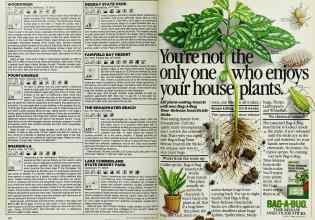 Better Homes & Gardens April 1983 Magazine Article: Page 164