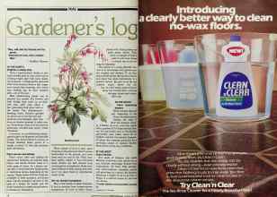 Better Homes & Gardens May 1983 Magazine Article: Page 38