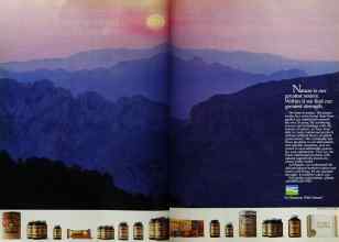 Better Homes & Gardens May 1983 Magazine Article: Page 40