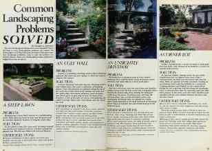 Better Homes & Gardens May 1983 Magazine Article: Common Landscaping Problems SOLVED