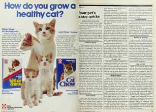 Better Homes & Gardens May 1983 Magazine Article: Page 74