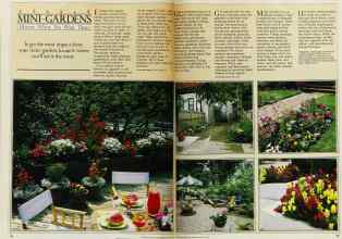 Better Homes & Gardens May 1983 Magazine Article: Page 96