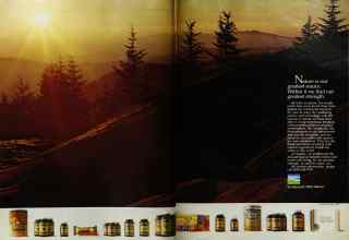 Better Homes & Gardens June 1983 Magazine Article: Page 30