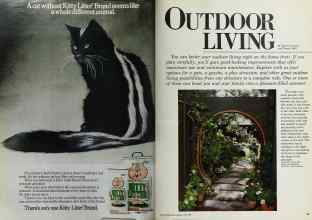 Better Homes & Gardens June 1983 Magazine Article: Page 42
