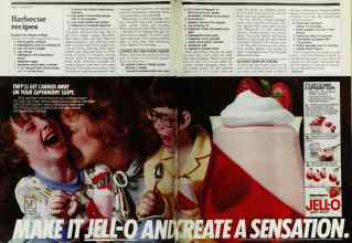 Better Homes & Gardens June 1983 Magazine Article: Page 100