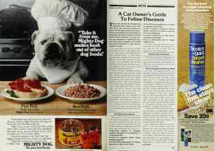 Better Homes & Gardens June 1983 Magazine Article: Page 122