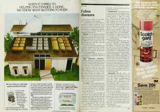 Better Homes & Gardens June 1983 Magazine Article: Page 126