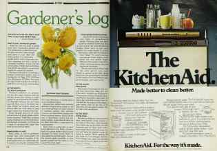 Better Homes & Gardens June 1983 Magazine Article: Page 128
