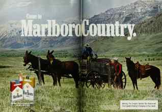 Better Homes & Gardens June 1983 Magazine Article: Page 140