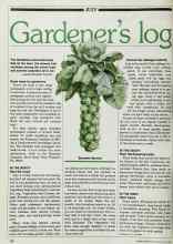 Better Homes & Gardens July 1983 Magazine Article: Gardener's log