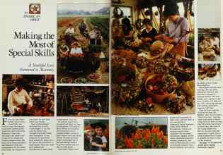 Better Homes & Gardens July 1983 Magazine Article: Making the Mast of Special Skills