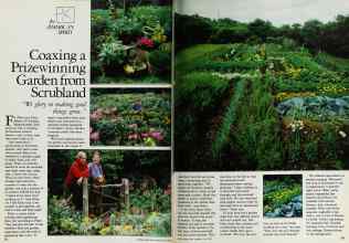 Better Homes & Gardens July 1983 Magazine Article: Coaxing a Prizewinning Garden from Scrubland