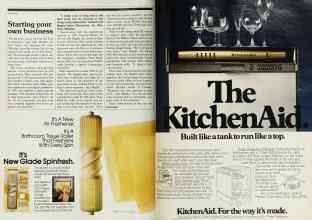 Better Homes & Gardens July 1983 Magazine Article: Page 136