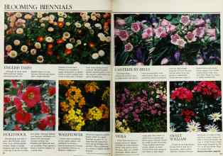 Better Homes & Gardens August 1983 Magazine Article: Page 86