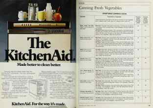 Better Homes & Gardens August 1983 Magazine Article: Page 100