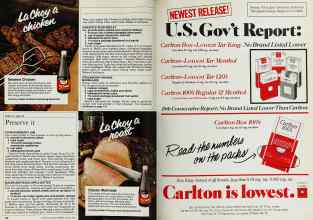 Better Homes & Gardens August 1983 Magazine Article: Page 106