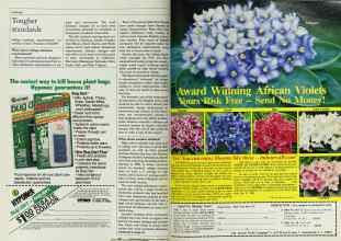 Better Homes & Gardens September 1983 Magazine Article: Page 24