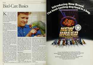 Better Homes & Gardens September 1983 Magazine Article: Page 76