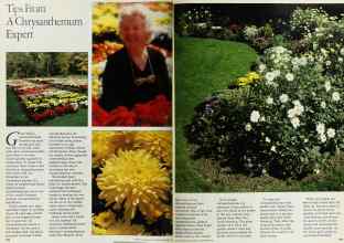 Better Homes & Gardens September 1983 Magazine Article: Page 106