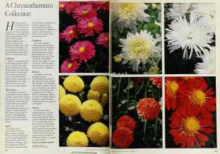 Better Homes & Gardens September 1983 Magazine Article: Page 108